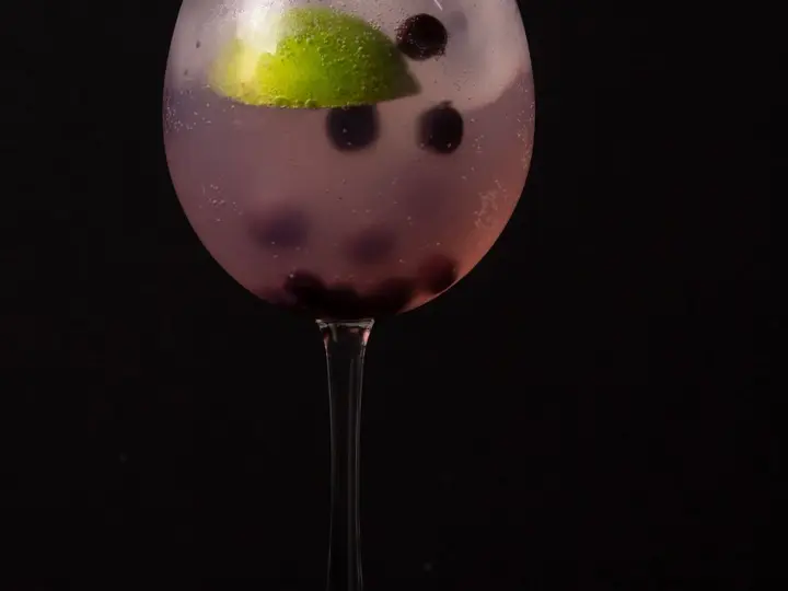 Gin Tonic Silvestre de Frutos Rojos